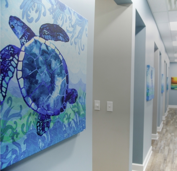 Picture of turtle on wall of dental practice