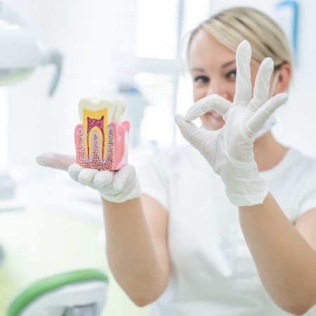 Dentist holding model of tooth giving okay sign